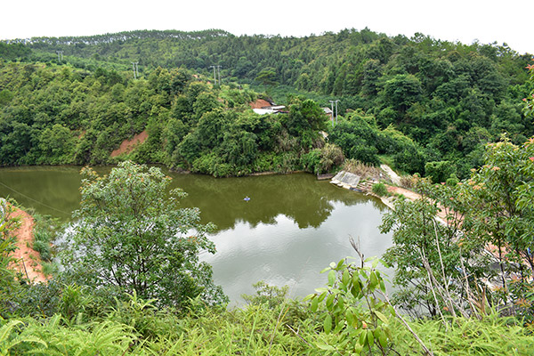 养鱼基地