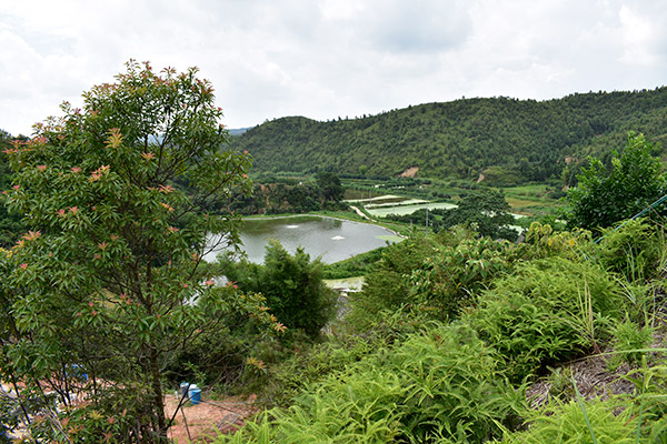 养鱼基地