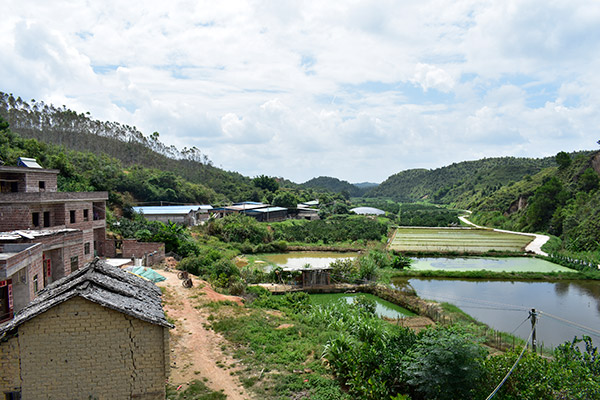 养鱼基地