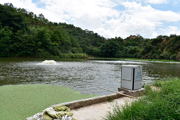 养鱼基地