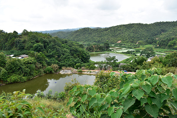 养鱼基地